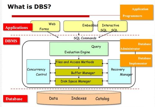 數(shù)據(jù)庫管理系統(tǒng)（DBMS）入門 基礎(chǔ)概念、目標(biāo)與應(yīng)用